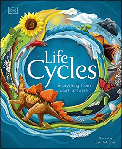 Life Cycles Hot on Sale