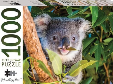 1000 Piece Jigsaw Puzzle: Koala, Queensland For Cheap