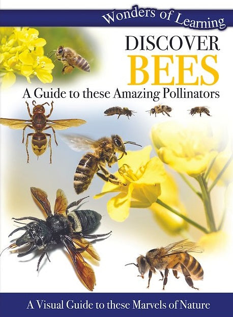 Wonders of Learning - Discover Bees Fashion