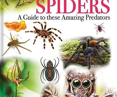 Wonders of Learning - Spiders on Sale