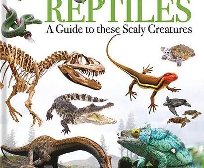 Wonders of Learning - Discover Reptiles For Sale